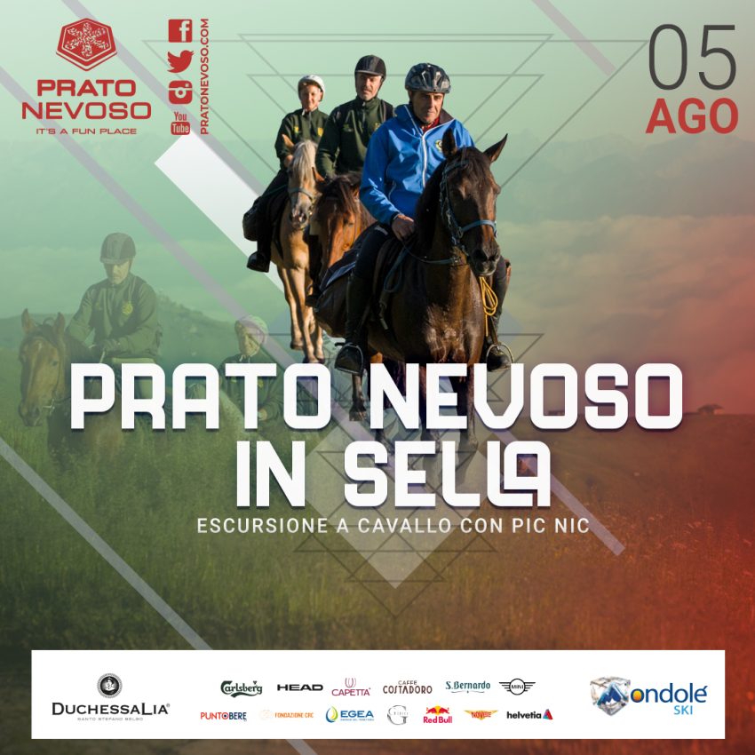 feed insta ski pn in sella