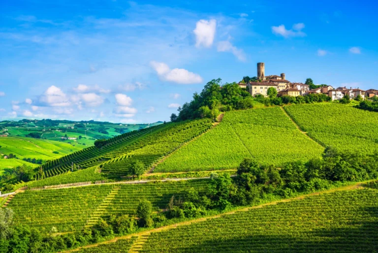 Colline coltivate a vigneto e un borgo sulla sommità, sotto un cielo sereno