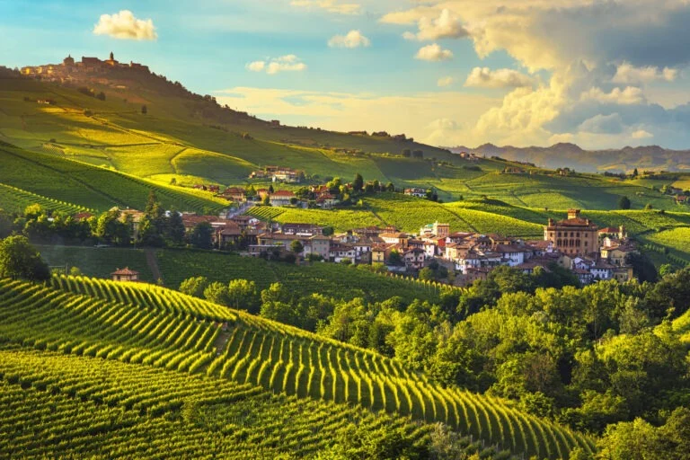 Il paese di Barolo tra le vigne, con le colline sullo sfondo