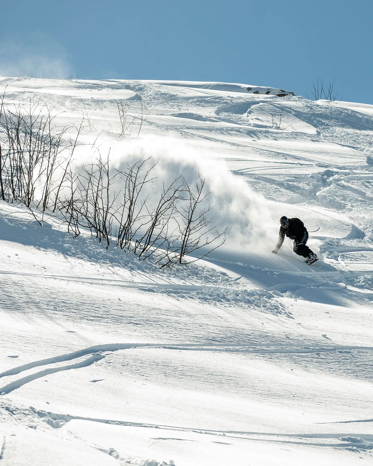 Snowboarder in curva nella neve fresca, tra arbusti e cielo azzurro
