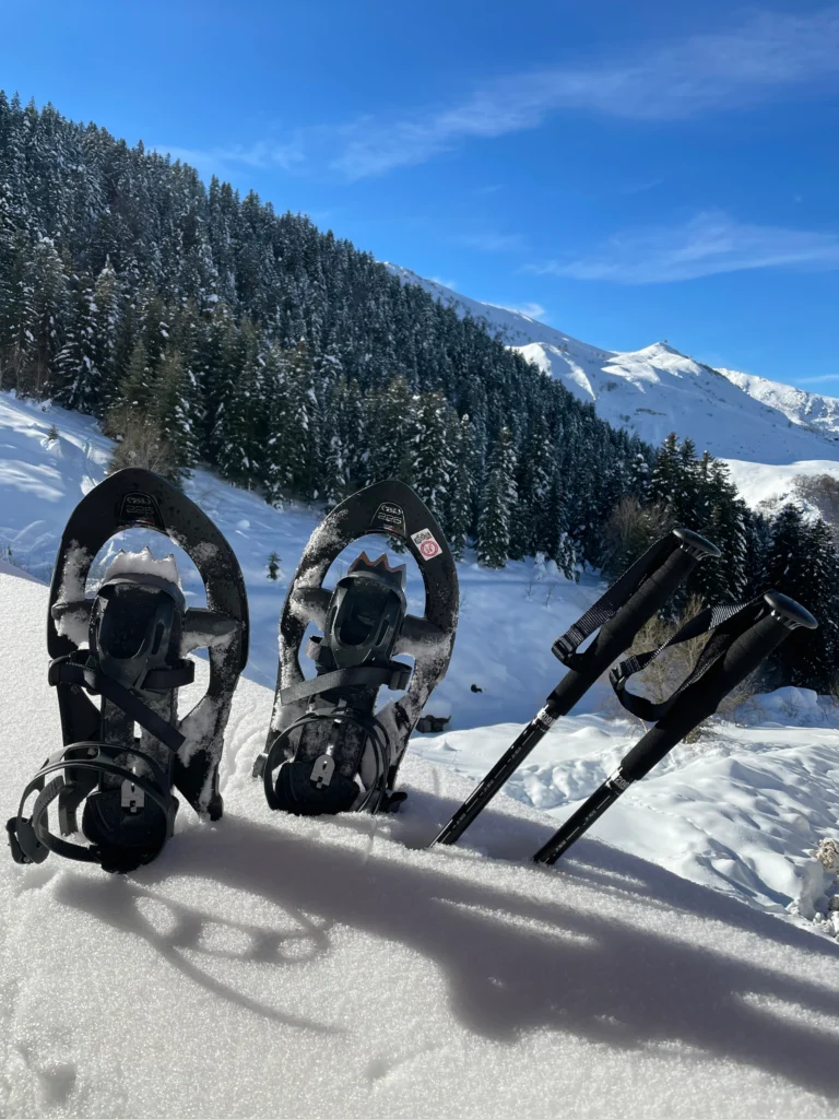 Ciaspole e bastoncini appoggiati nella neve, con bosco e montagne innevate sullo sfondo.