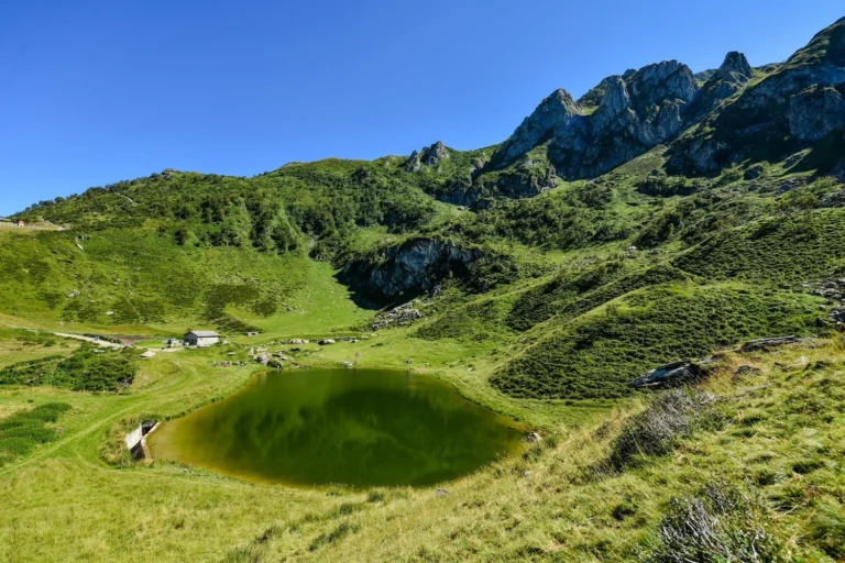 Un piccolo lago alpino circondato da prati e pareti rocciose in estate