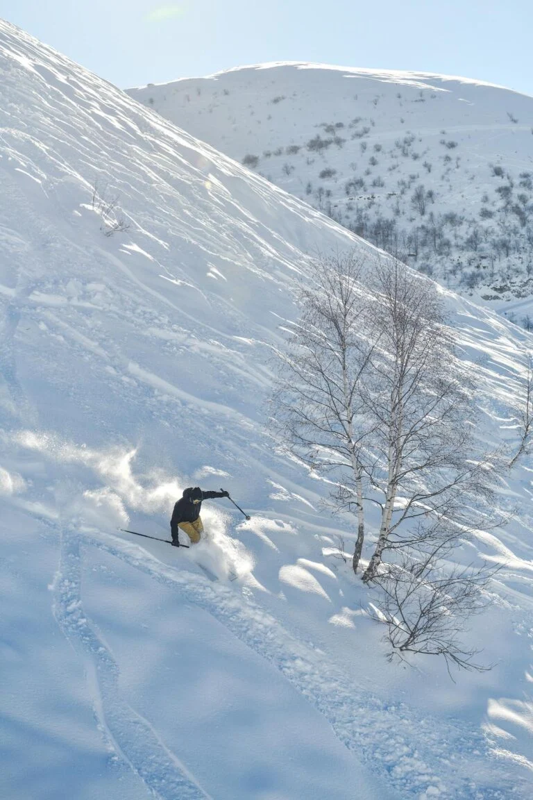 Uno sciatore scende in neve fresca su un pendio ripido, accanto a un gruppo di betulle